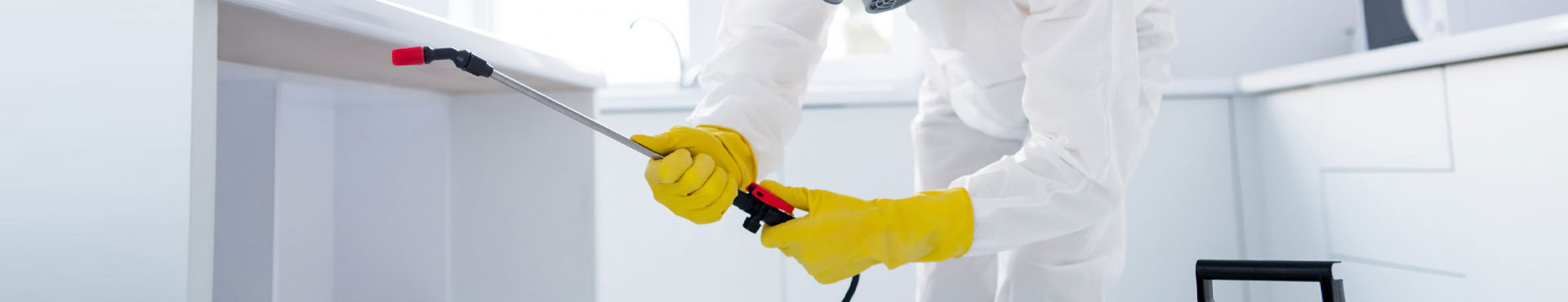 Désinfection bactéries virus ile de France